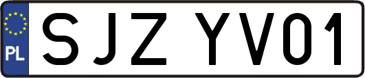 SJZYV01