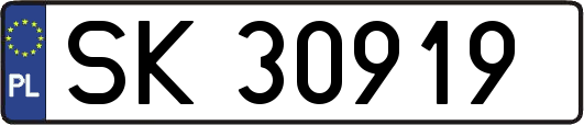 SK30919