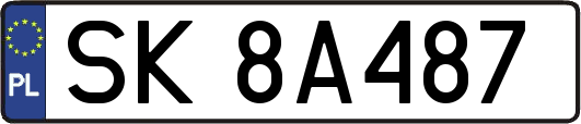 SK8A487