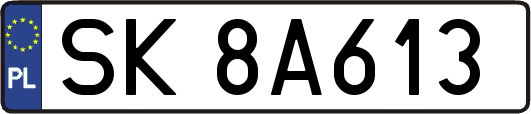 SK8A613