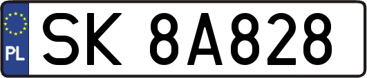 SK8A828