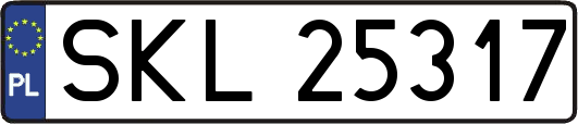 SKL25317