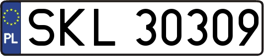 SKL30309