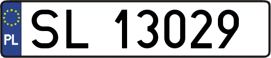 SL13029