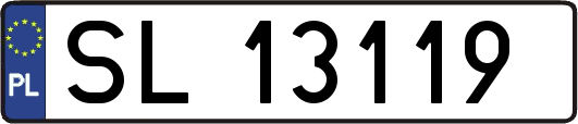 SL13119