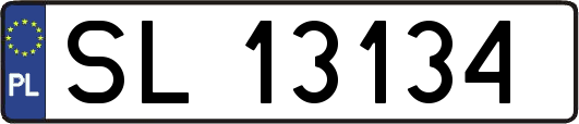 SL13134
