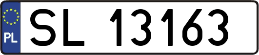 SL13163