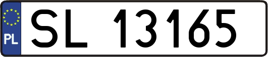 SL13165