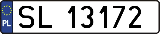 SL13172