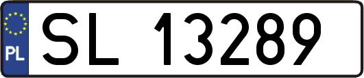 SL13289