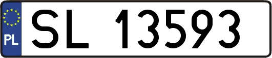 SL13593