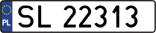 SL22313
