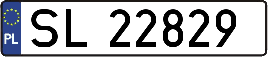 SL22829