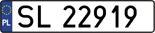 SL22919