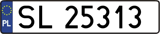 SL25313