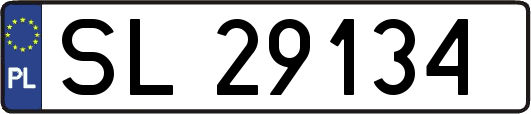 SL29134