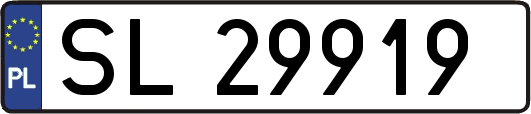 SL29919