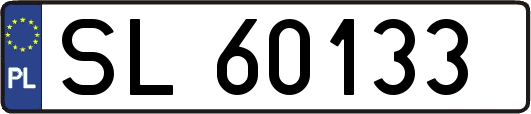 SL60133