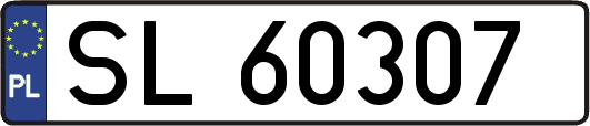 SL60307