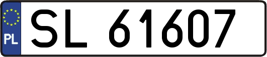 SL61607
