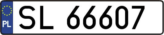 SL66607