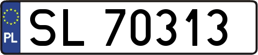 SL70313