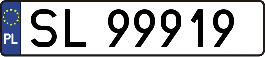 SL99919