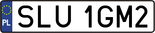 SLU1GM2