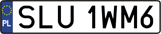 SLU1WM6