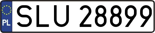 SLU28899