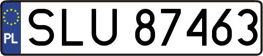 SLU87463