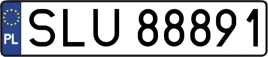 SLU88891