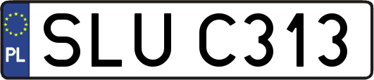 SLUC313