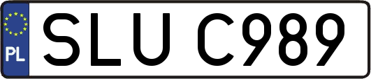 SLUC989