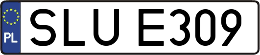 SLUE309