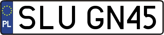 SLUGN45
