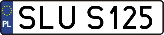 SLUS125