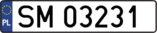 SM03231