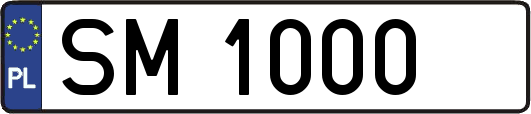 SM1000