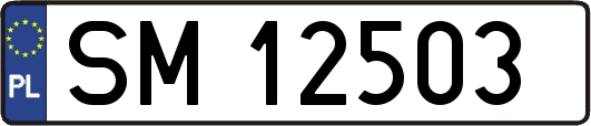 SM12503