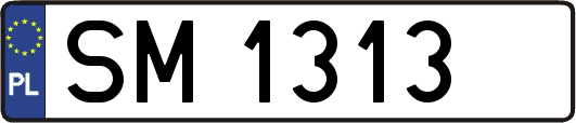 SM1313