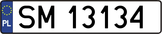 SM13134