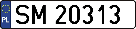 SM20313