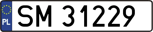 SM31229