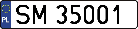 SM35001