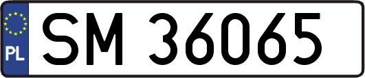 SM36065
