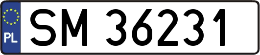 SM36231