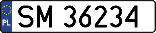 SM36234