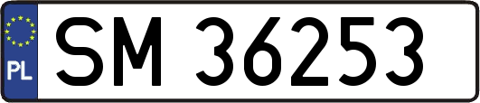 SM36253