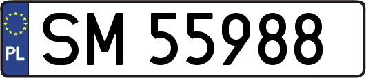 SM55988